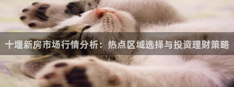 和记官网官网入口：十堰新房市场行情分析：热点区域选择与投资理