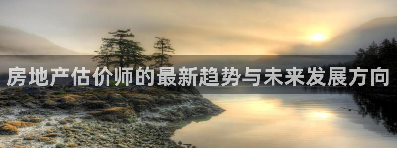 和记电讯3官网：房地产估价师的最新趋势与未来发展方向
