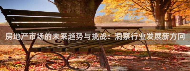 和记备用网官网开户：房地产市场的未来趋势与挑战：洞察行业发展