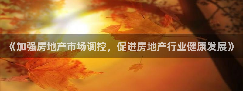 和记电游官网：《加强房地产市场调控，促进房地产行业健康发展》