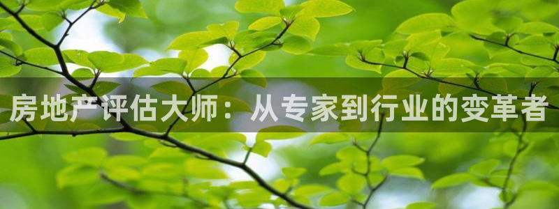 和记娱实惠h88285官网：房地产评估大师：从专家到行业的变