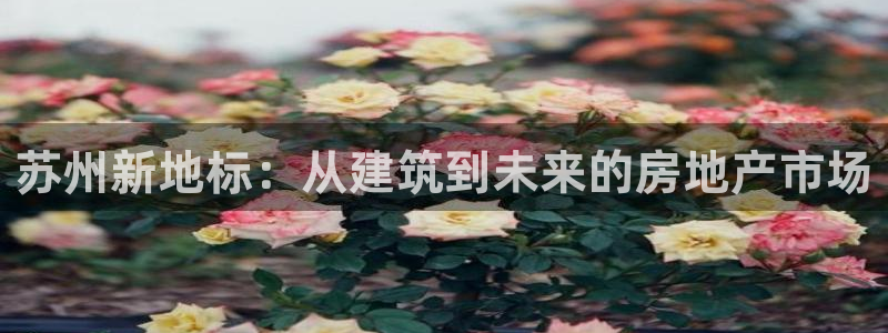 和记娱答疑h88285官网：苏州新地标：从建筑到未来的房地产