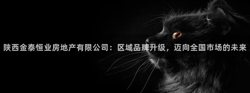 香港和记集团官网：陕西金泰恒业房地产有限公司：区域品牌升级，
