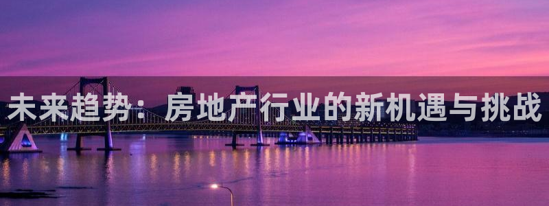 广州和记黄埔官网：未来趋势：房地产行业的新机遇与挑战