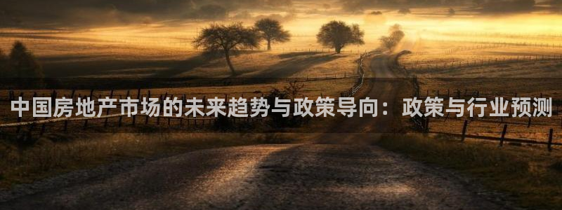 香港和记电讯官网：中国房地产市场的未来趋势与政策导向：政策与