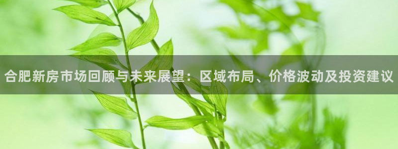 和力记易官网：合肥新房市场回顾与未来展望：区域布局、价格波动
