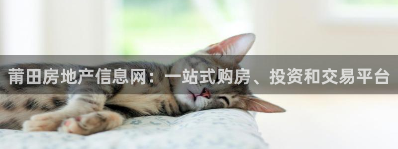 和元李记官网：莆田房地产信息网：一站式购房、投资和交易平台