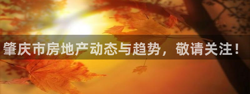 和记官网登陆：肇庆市房地产动态与趋势，敬请关注！