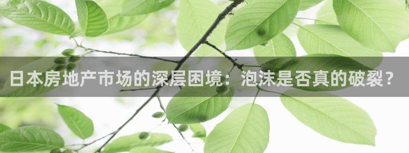 香港长江和记官网：日本房地产市场的深层困境：泡沫是否真的破裂