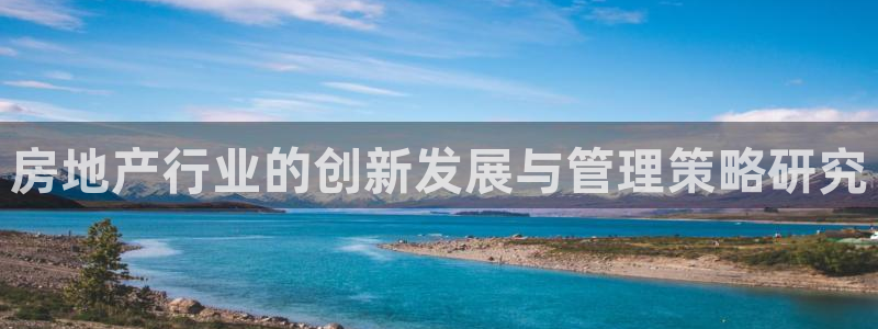 长江和记有限公司 官网：房地产行业的创新发展与管理策略研究