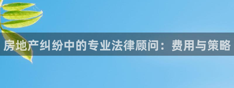 和记官网登陆：房地产纠纷中的专业法律顾问：费用与策略