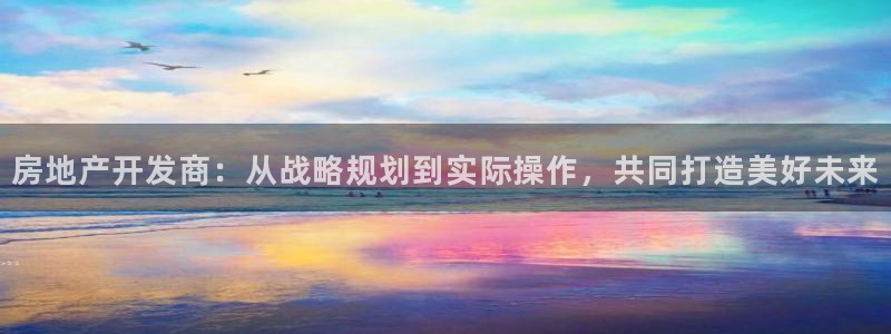 和记国际平台官网：房地产开发商：从战略规划到实际操作，共同打