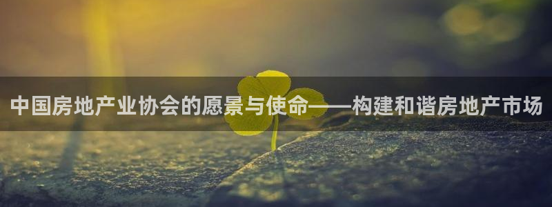 3和记电讯官网：中国房地产业协会的愿景与使命——构建和谐房地