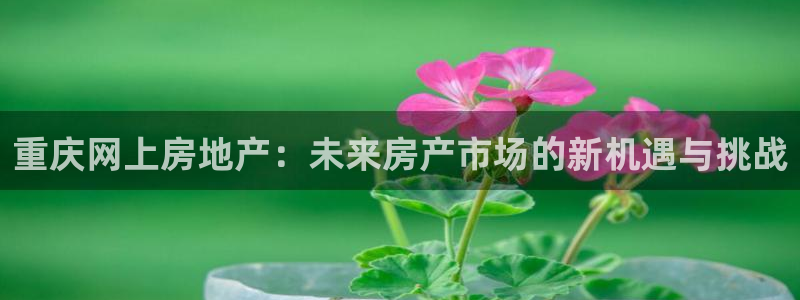 香港和记3电讯官网：重庆网上房地产：未来房产市场的新机遇与挑