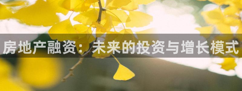 和记黄埔官网：房地产融资：未来的投资与增长模式