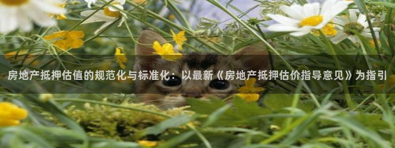 缅甸和记平台官网：房地产抵押估值的规范化与标准化：以最新《房