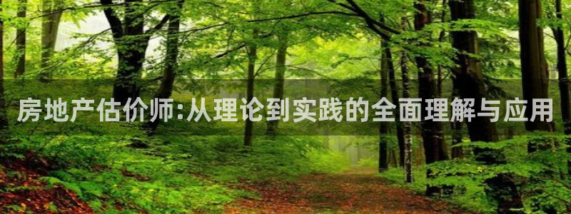 和记万佳国际家居城官网：房地产估价师:从理论到实践的全面理解