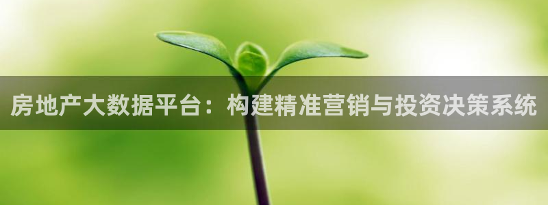 和记app官网登录：房地产大数据平台：构建精准营销与投资决策