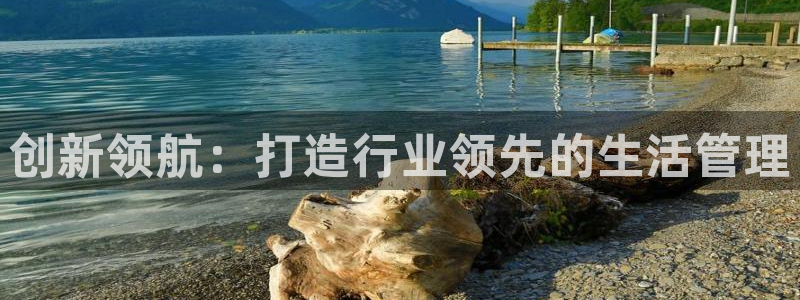 和记体育买球官网：创新领航：打造行业领先的生活管理