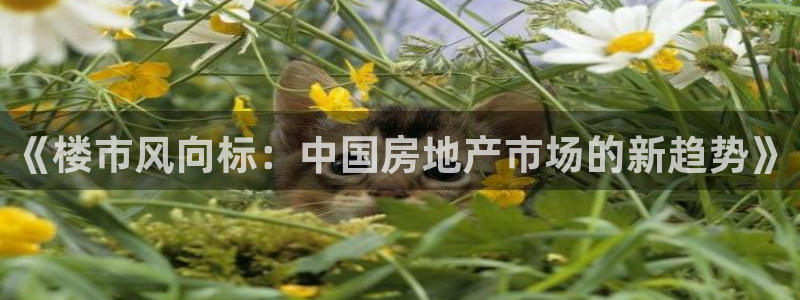 和记官网 (中国区)官方网站