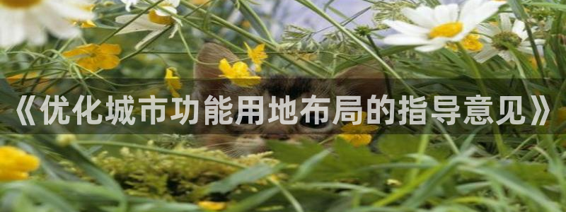 和记 中国官网：《优化城市功能用地布局的指导意见》