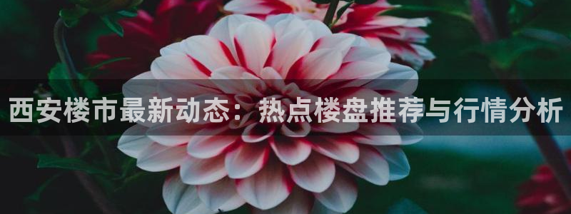 和记国际官网：西安楼市最新动态：热点楼盘推荐与行情分析