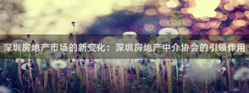 桃源记九游和官网：深圳房地产市场的新变化：深圳房地产中介协会