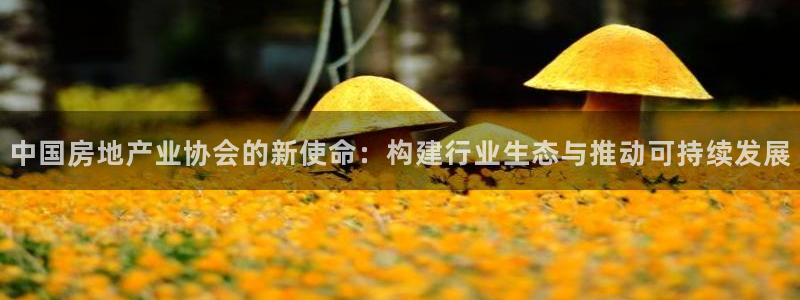 和记官网开户 银博网：中国房地产业协会的新使命：构建行业生态