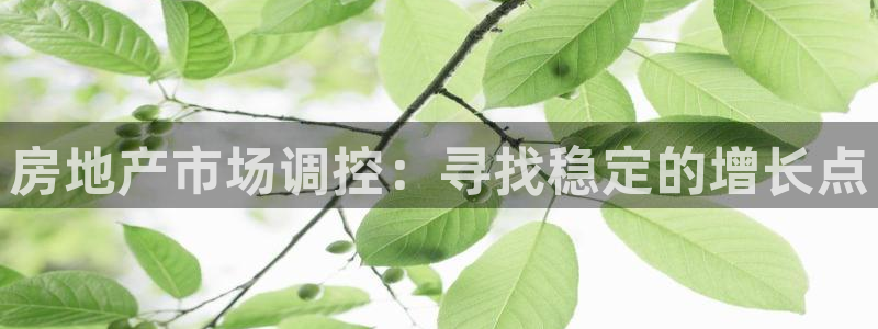 和记官网是一个什么平台：房地产市场调控：寻找稳定的增长点