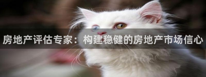 和记门店官网：房地产评估专家：构建稳健的房地产市场信心