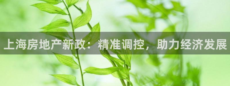 和记娱精湛h88285官网：上海房地产新政：精准调控，助力经