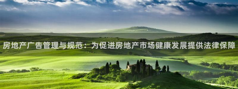 和记官网手机：房地产广告管理与规范：为促进房地产市场健康发展
