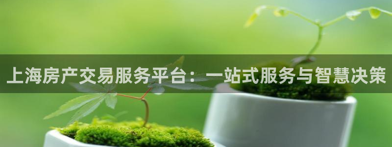 香港和记电信官网：上海房产交易服务平台：一站式服务与智慧决策