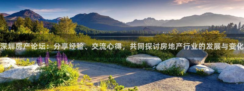 和记隆官网：深圳房产论坛：分享经验、交流心得，共同探讨房地产