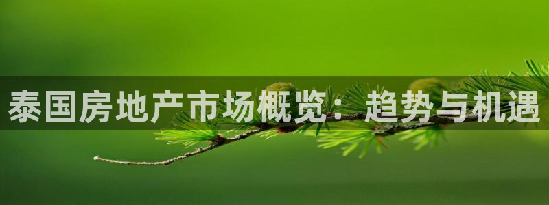 和记3电讯官网：泰国房地产市场概览：趋势与机遇