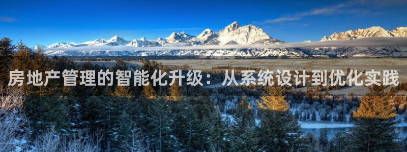 和记3电讯官网：房地产管理的智能化升级：从系统设计到优化实践