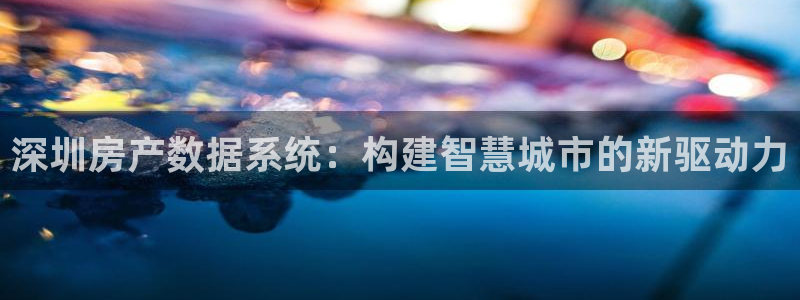 和生记官网：深圳房产数据系统：构建智慧城市的新驱动力