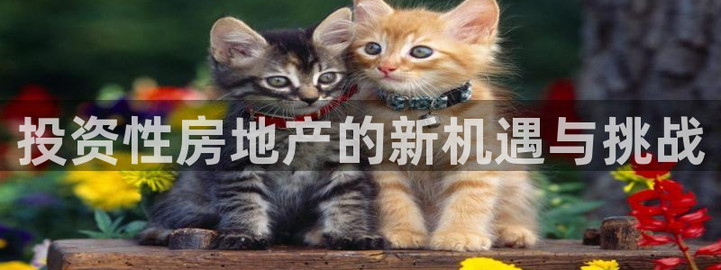 和记官网app是谁的：投资性房地产的新机遇与挑战