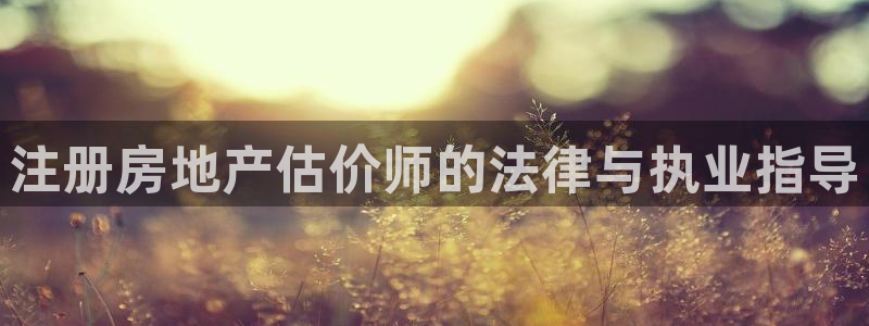 和记官网手机新版app下载：注册房地产估价师的法律与执业指导