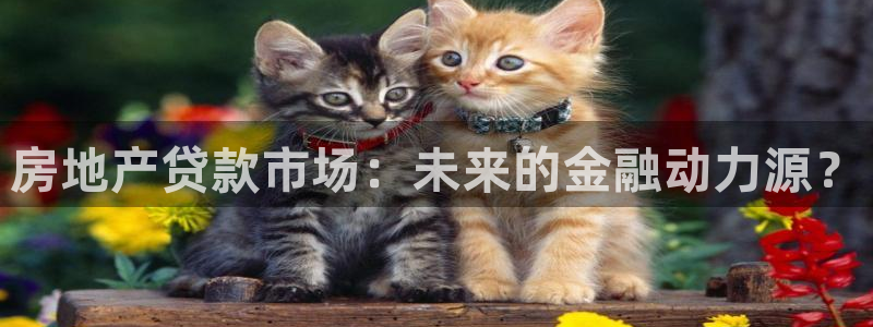 桃源记九游和官网：房地产贷款市场：未来的金融动力源？