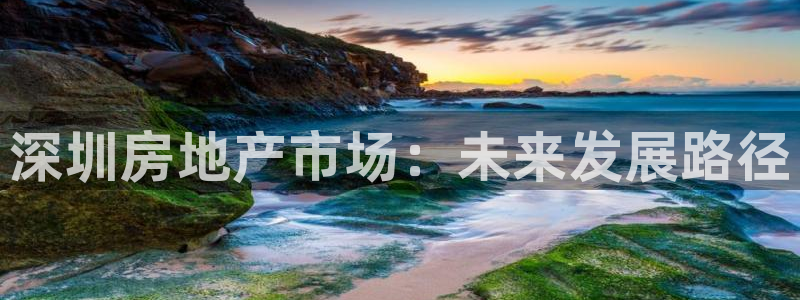 和记洋行官网：深圳房地产市场：未来发展路径