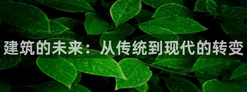 和记官网登录：建筑的未来：从传统到现代的转变
