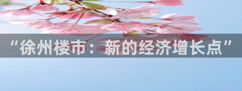 和记3电讯 官网：“徐州楼市：新的经济增长点”