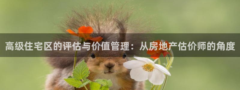 和记餐厅官网：高级住宅区的评估与价值管理：从房地产估价师的角