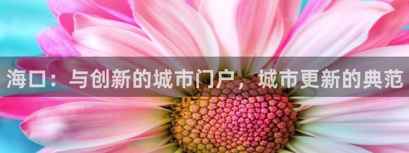 香港和记电信官网：海口：与创新的城市门户，城市更新的典范