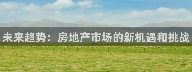 和记官网是一个什么平台：未来趋势：房地产市场的新机遇和挑战