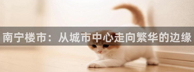 和记h88永久官网：南宁楼市：从城市中心走向繁华的边缘