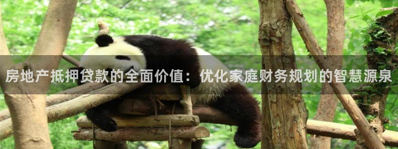 和记官网客户端：房地产抵押贷款的全面价值：优化家庭财务规划的