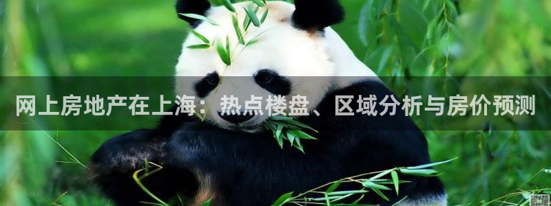 和记h88官网登陆：网上房地产在上海：热点楼盘、区域分析与房