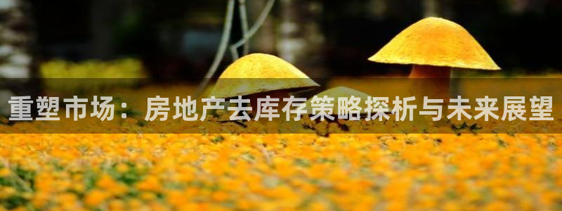 和记娱乐旗舰官网：重塑市场：房地产去库存策略探析与未来展望
